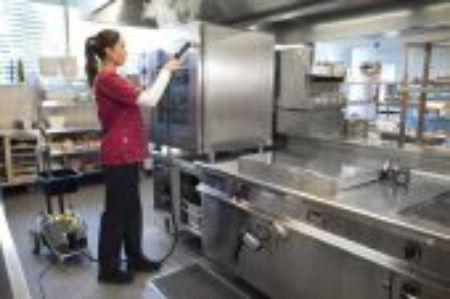Afbeelding voor categorie Stoomreinigers