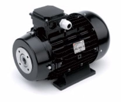 Afbeeldingen van E-MOTOR 5,5KW 400V BM112 FLEX.24MM