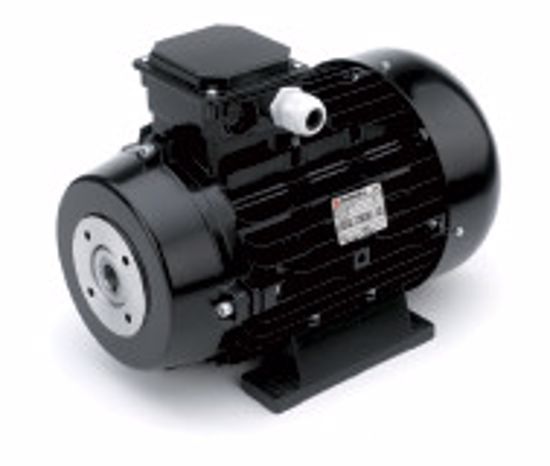 Afbeeldingen van E-MOTOR 5,5KW 400V BM112 FLEX.24MM