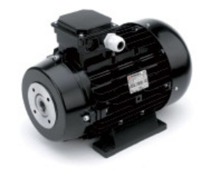 Afbeeldingen van E-MOTOR 22KW 400V BM160L FLEX.24MM