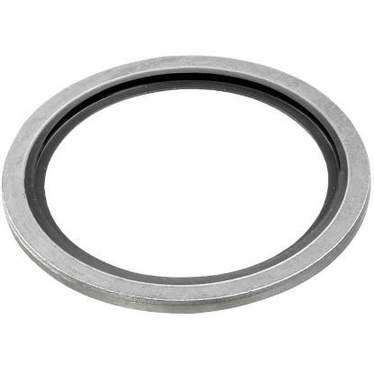 Afbeeldingen van Bonded seal voor 1/2 BU (100 STK) staal