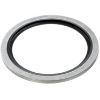 Afbeeldingen van Bonded seal voor 1/2 BU RVS (100 STK)