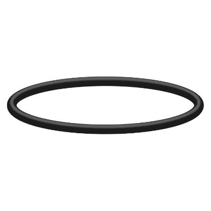 Afbeeldingen van O-Ring 10,77x2,62 (1 stuks)