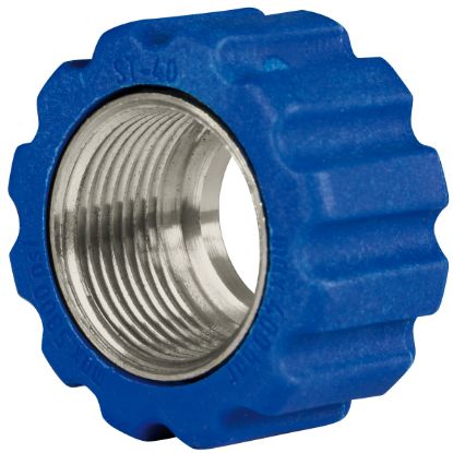Afbeeldingen van Wartelmoer 22x1,5 16,4 mm Blauw RVS