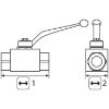 Afbeeldingen van Kogelkraan 1/4BI 500 Bar RVS V4A