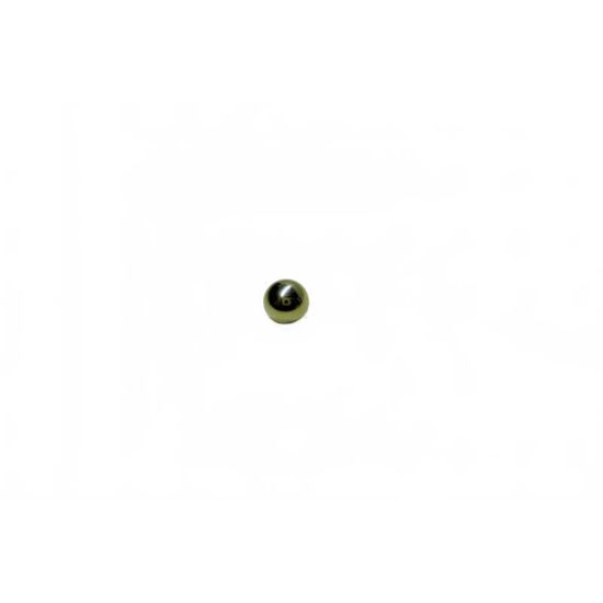 Afbeeldingen van Kogel inox 5.5 MM (1 ST in 13234)