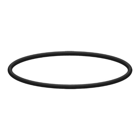 Afbeeldingen van O-Ring v. Filterhuis 9-3/4" 1"BI RVS