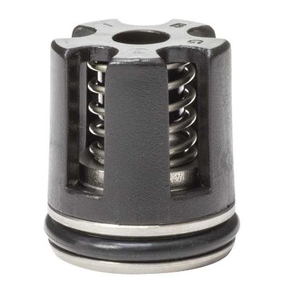 Afbeeldingen van Ventielset 17 mm (100 stuk(s)) passend v