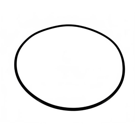 Afbeeldingen van O-ring 113,97 x 2,62 MM