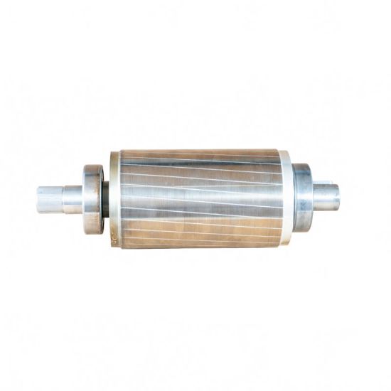 Afbeeldingen van Rotor BG112 6,3 KW (therm RP)