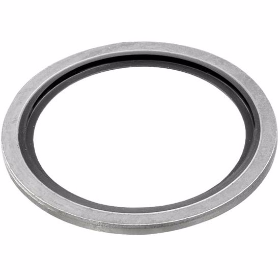 Afbeelding van Bonded seal voor 1/2 BU (100 STK) staal